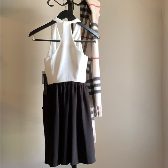 NWT Cynthia Steffe Black and Ivory Cocktail Dress - Picture 7 of 7